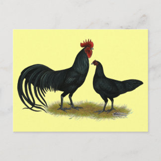 Tomaru Long Crower Chickens Postcard