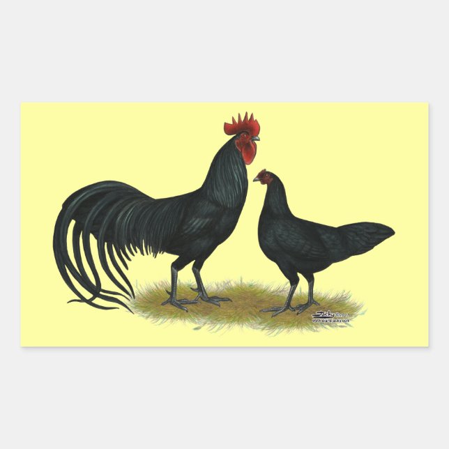 Tomaru Long Crower Chickens Rectangular Sticker (Front)