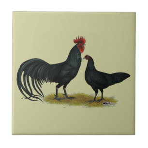 Tomaru Long Crower Chickens Tile