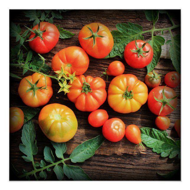 Tomato background poster (Front)