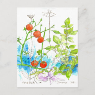 Tomato Basil Garden Praying Mantis Art Postcard
