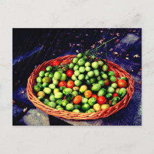 Tomato Basket Postcard
