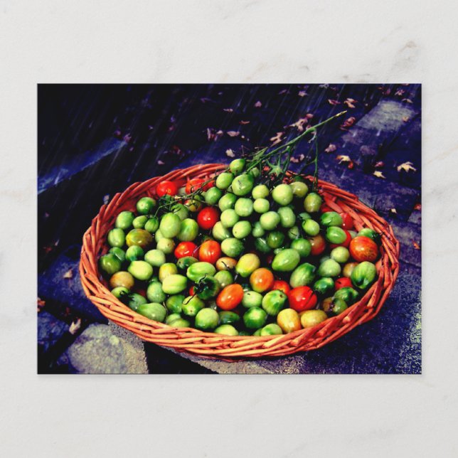Tomato Basket Postcard (Front)