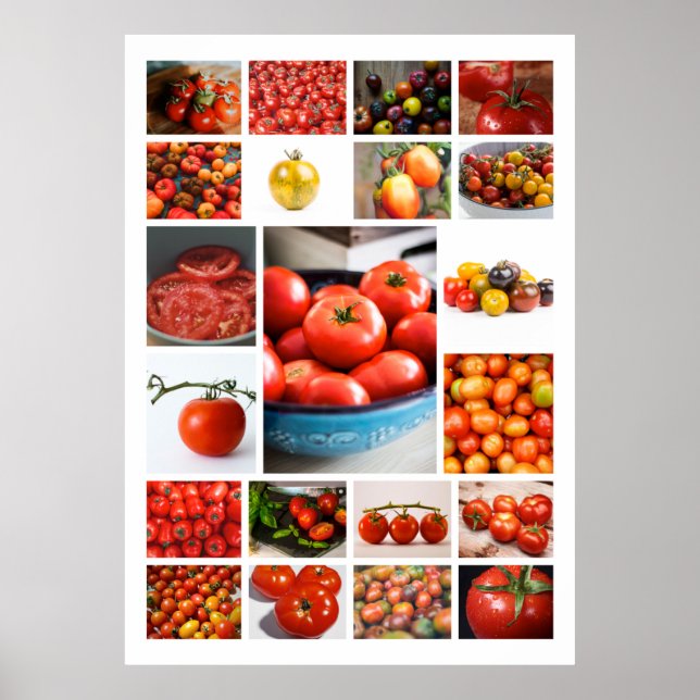 TOMATO Collage Poster (Front)