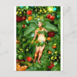 Tomato Fairy Postcard