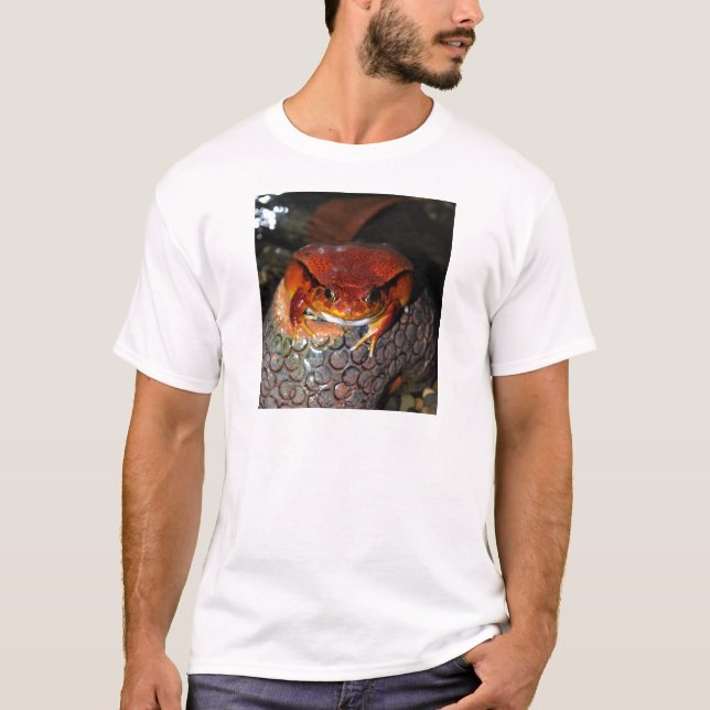 Tomato frog T-Shirt (Front)