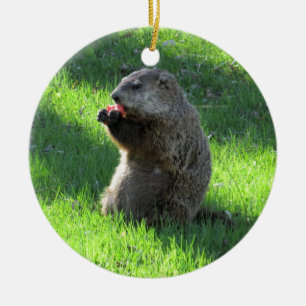 Tomato Groundhog Ceramic Tree Decoration
