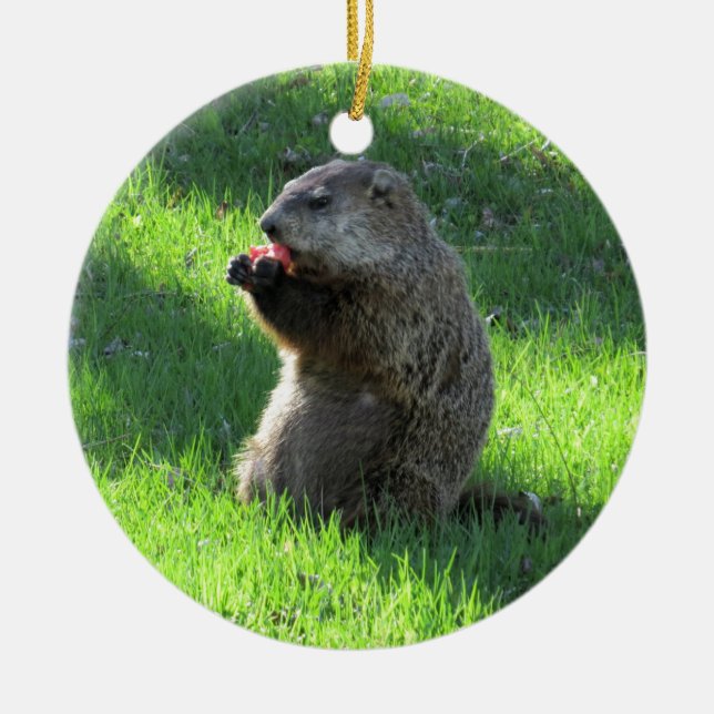 Tomato Groundhog Ceramic Tree Decoration (Front)