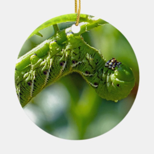 Tomato Hornworm Ceramic Ornament (Front)
