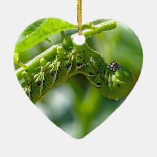 Tomato Hornworm Ceramic Tree Decoration