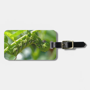 Tomato Hornworm Luggage Tag
