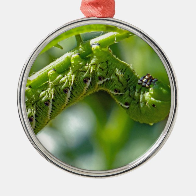 Tomato Hornworm Metal Tree Decoration (Front)