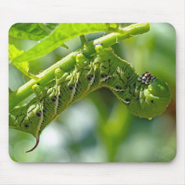 Tomato Hornworm Mouse Pad (Front)