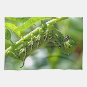 Tomato Hornworm Tea Towel