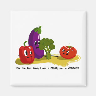 Tomato humour magnet