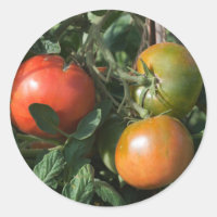 Tomato Label