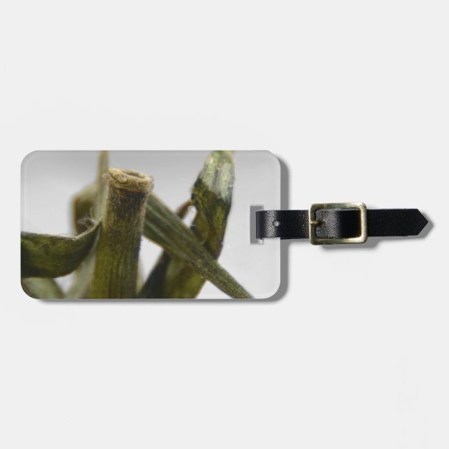 Tomato Luggage Tag (Front Horizontal)