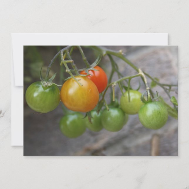 Tomato Plant Invitation (Front)