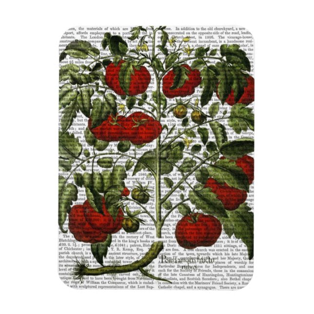 Tomato Plant Magnet (Vertical)