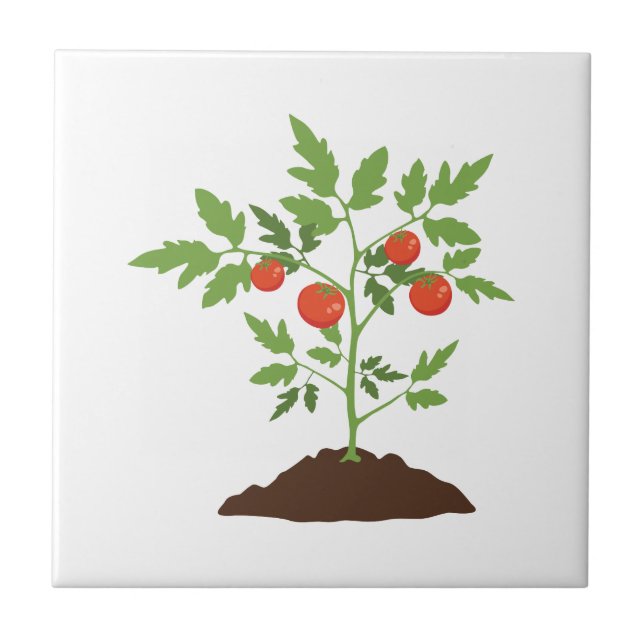 Tomato Plant Tile (Front)