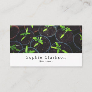 Tomato Plants, Gardening Service, Horticulturist Business Card