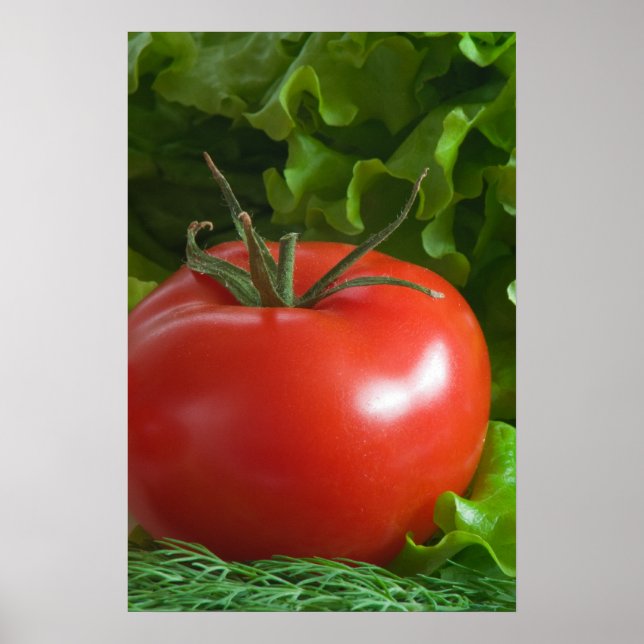 Tomato Poster (Front)