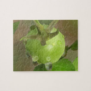 tomato puzzle