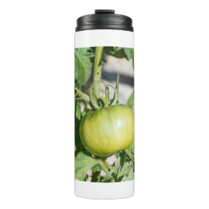 Tomato ripening in an orchard thermal tumbler