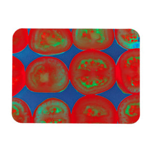 Tomato slices magnet