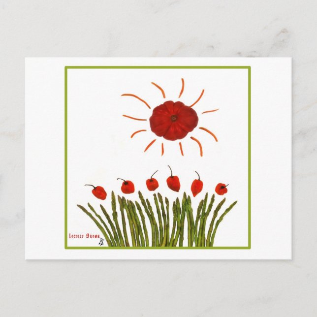 Tomato Sunshine Postcard (Front)