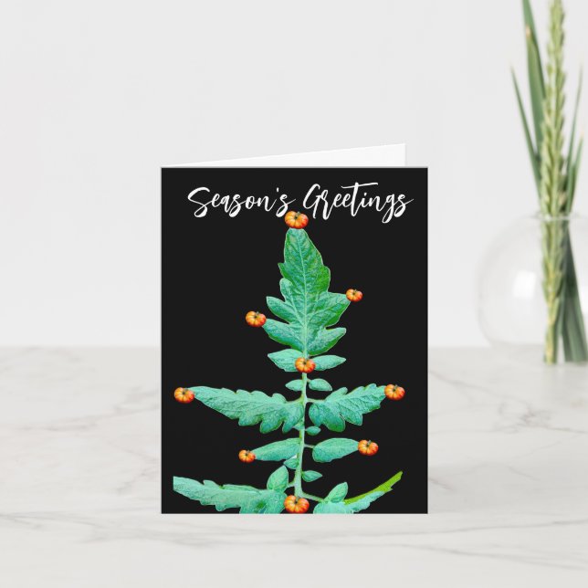 TOMATO TREE PHOTO SEASONS GREETINGS CARD (Front)