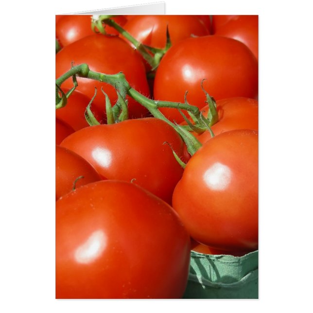 Tomatoes (Front)