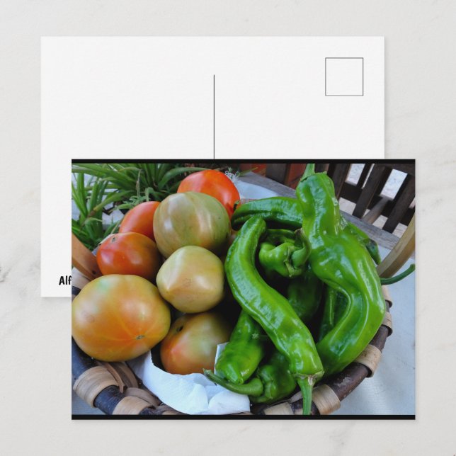 Tomatoes and Green Peppers in Basket Postcard (Front/Back)