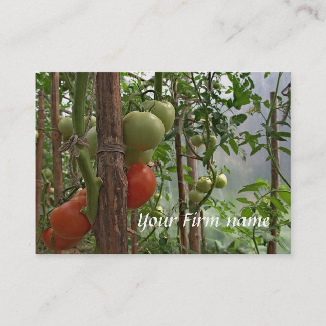 Tomatoes Business Card (Front)