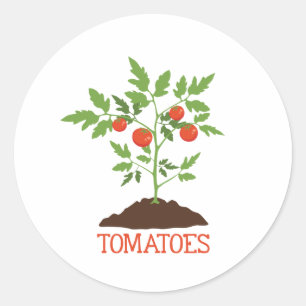 Tomatoes Classic Round Sticker