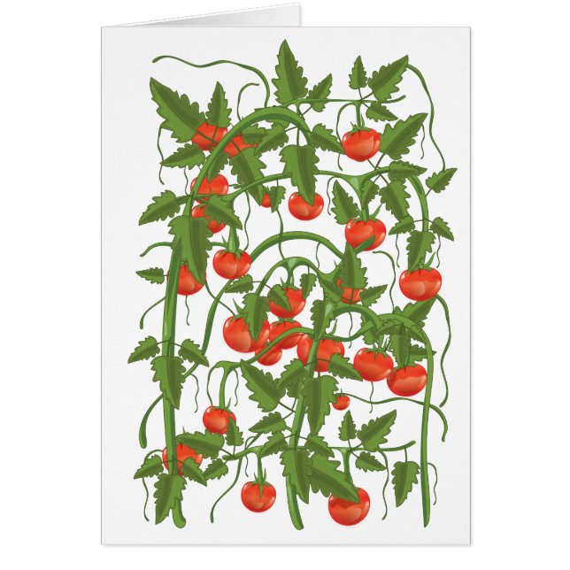 Tomatoes Pattern (Front)