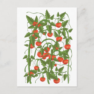Tomatoes Pattern Postcard