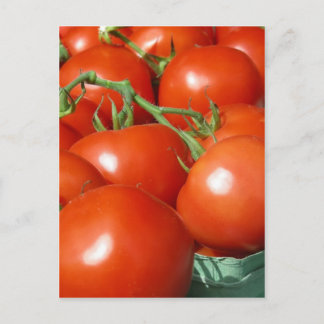 Tomatoes Postcard