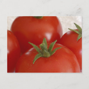 Tomatoes Postcard
