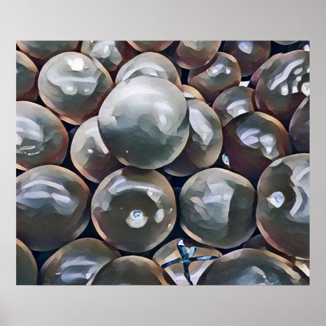 TOMATOES   POSTER (Front)