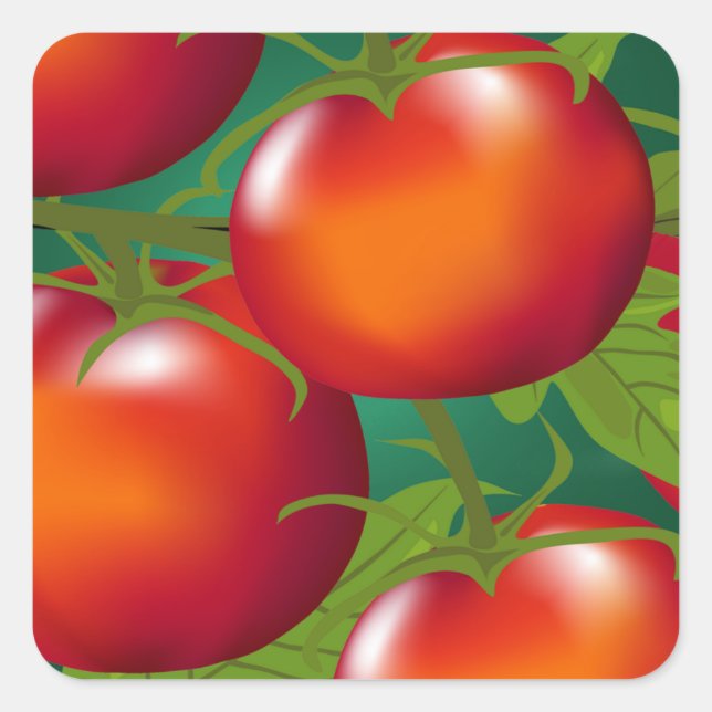 Tomatoes Sticker (Front)