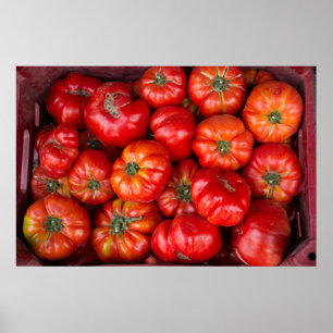 Tomatos At Market Poster