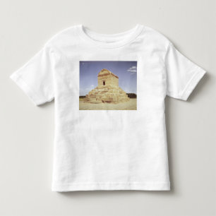 Tomb of Cyrus the Great Toddler T-Shirt