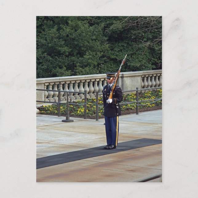 Tomb Of The Unknown Soldier Postcard (Front)