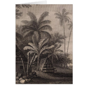 Tombs, Muthuata, Fiji