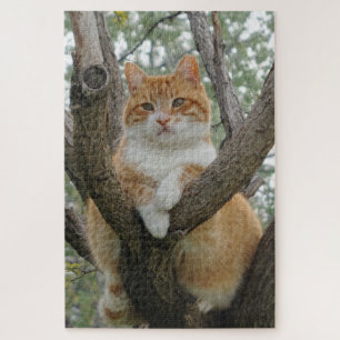 Tomcat Jigsaw Puzzle