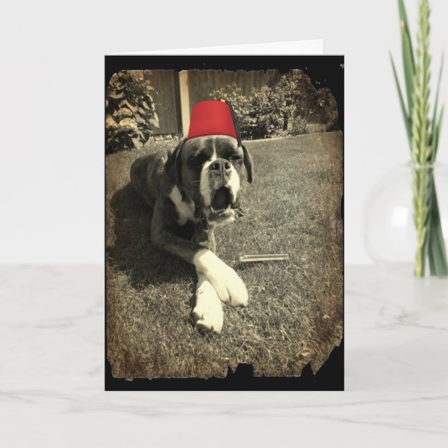 Tommy Cooper Boxer Dog Card (Front)
