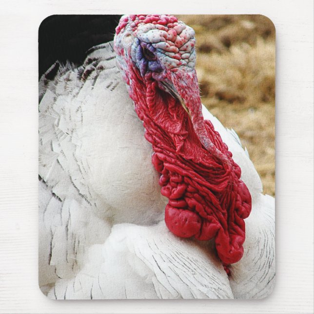 Tommy Mouse Pad (Front)