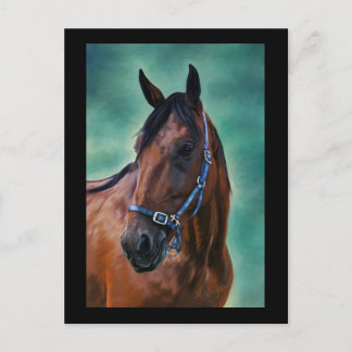 Tommy Standardbred Horse Art Postcard