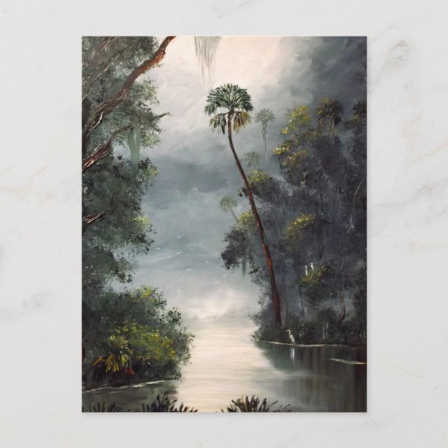 Tomoka River Florida Postcard (Front)